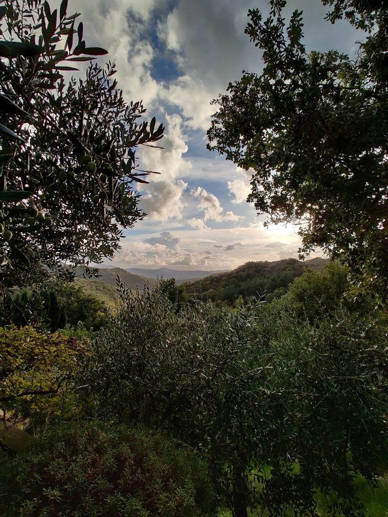 Torre di Moravola – Photo 6