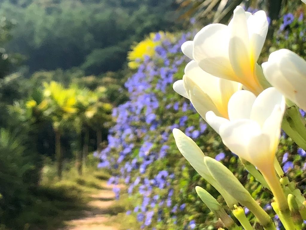 Kahani Paradise – Photo 5