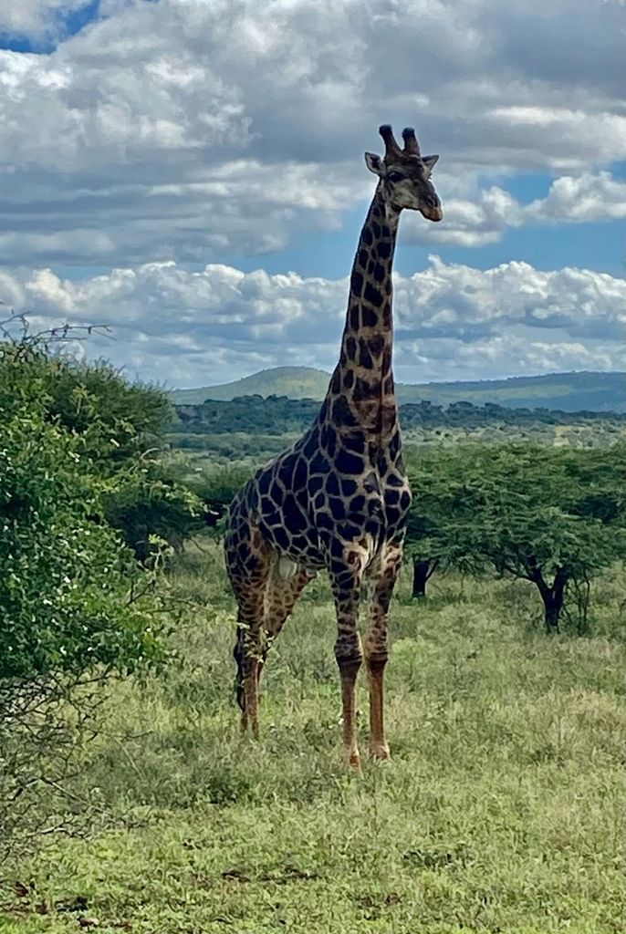 Thanda Safari - Private Game Reserve – Photo 3