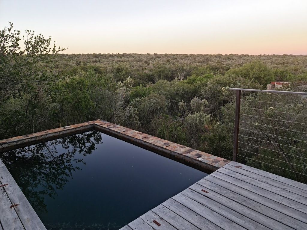 Kwandwe Private Game Reserve – Photo 3
