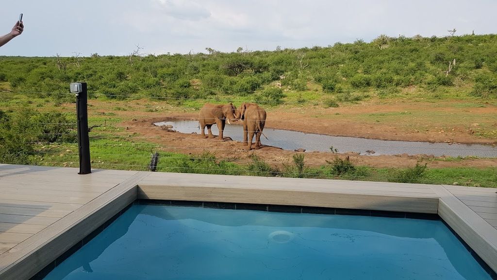 The Royal Madikwe Luxury Safari Villas – Photo 3