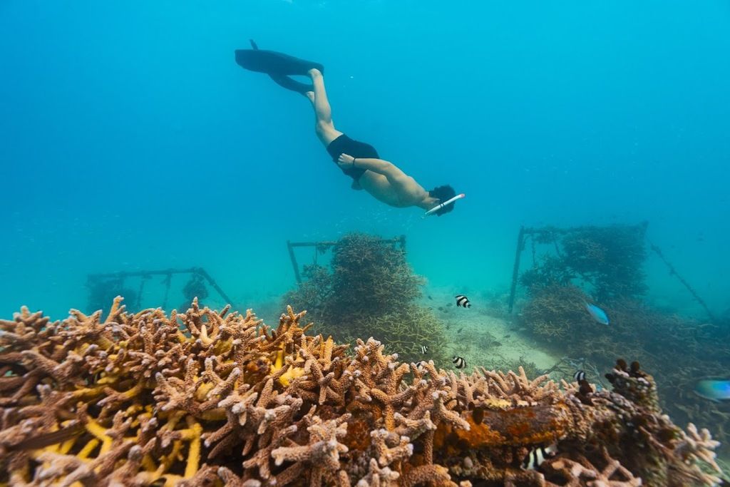 The Standard, Huruvalhi Maldives – Photo 5