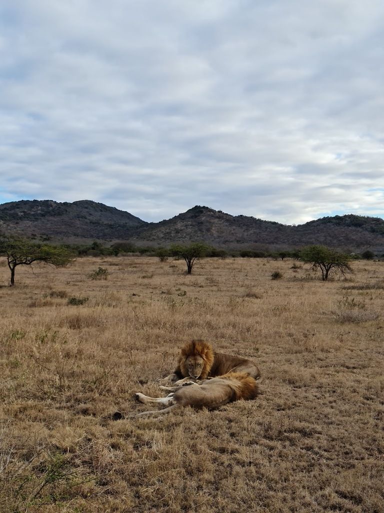 Thanda Safari - Private Game Reserve – Photo 6