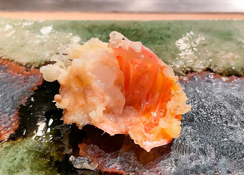 成生 - Naruse – Photo 5