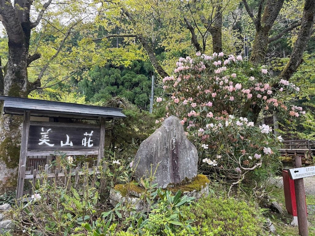 美山荘 - Miyamaso – Photo 5