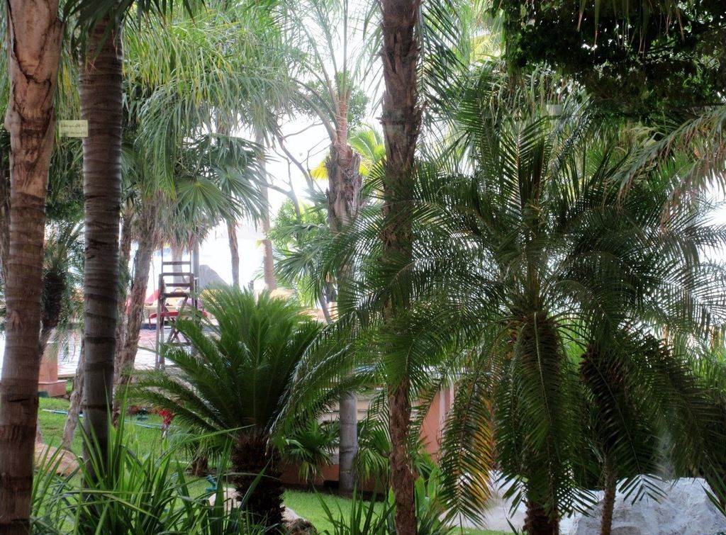Le Basilic – Photo 4