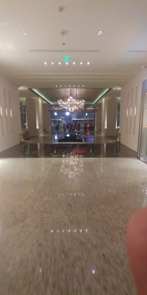The Portman Ritz-Carlton, Shanghai – Photo 5