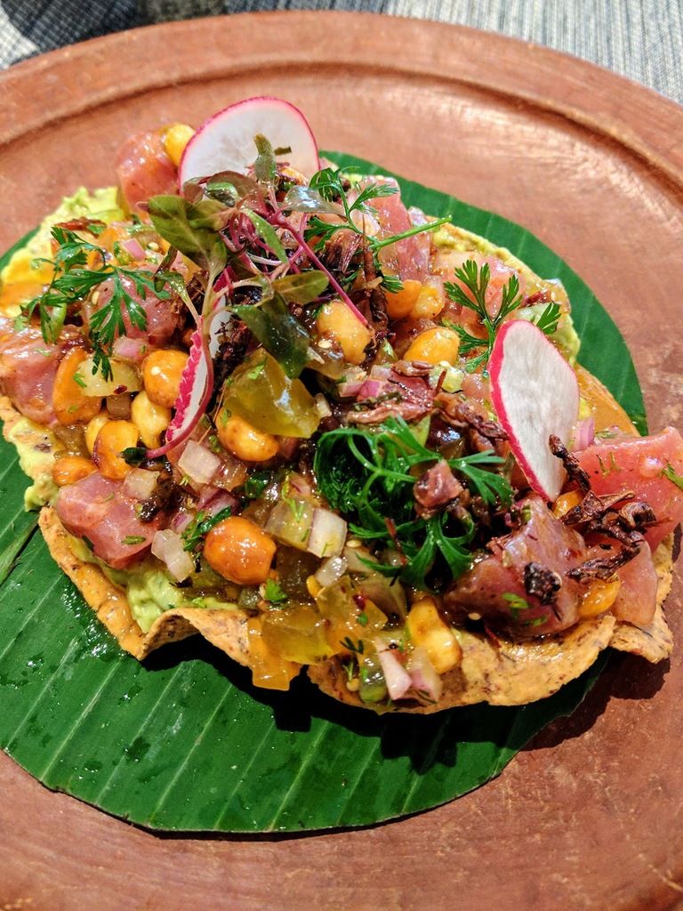 Guzina Oaxaca – Photo 2