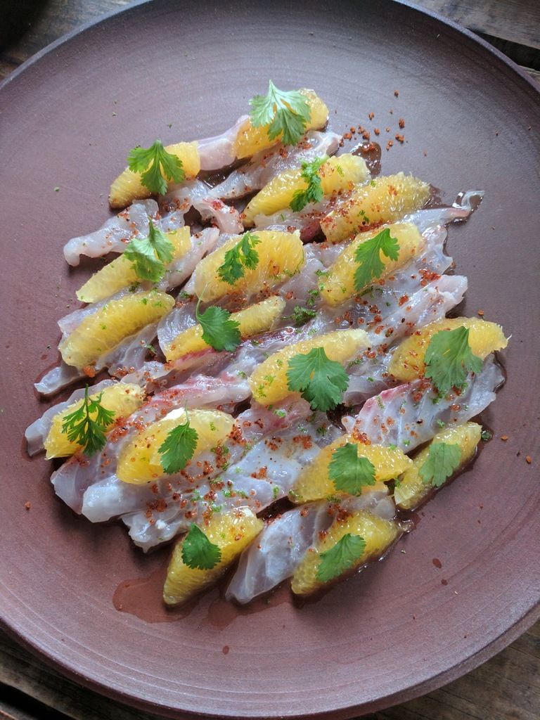 Criollo – Photo 3