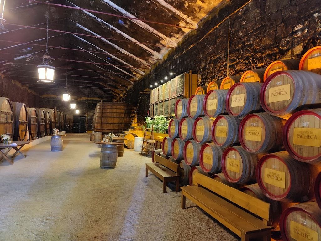 Quinta da Pacheca – Photo 5