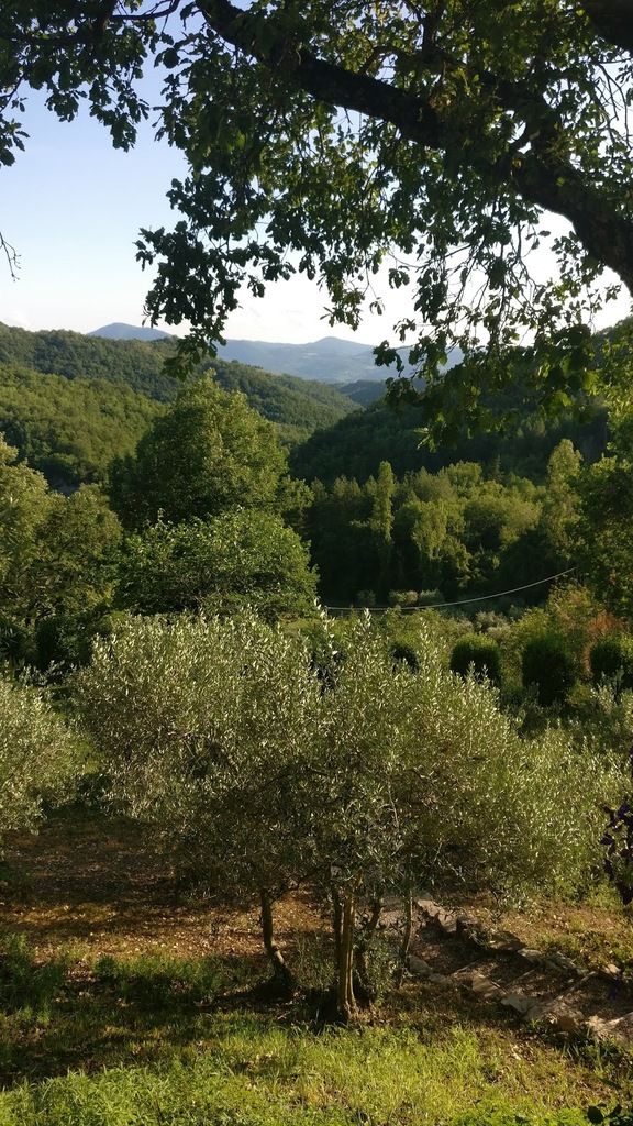 Torre di Moravola – Photo 3