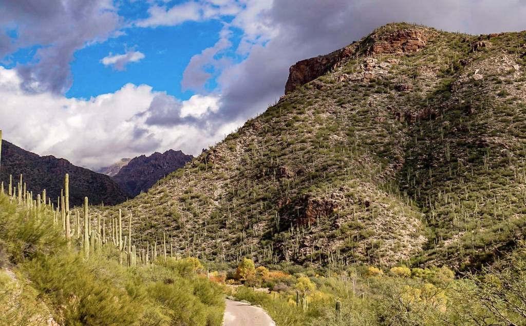 Canyon Ranch Tucson – Photo 5