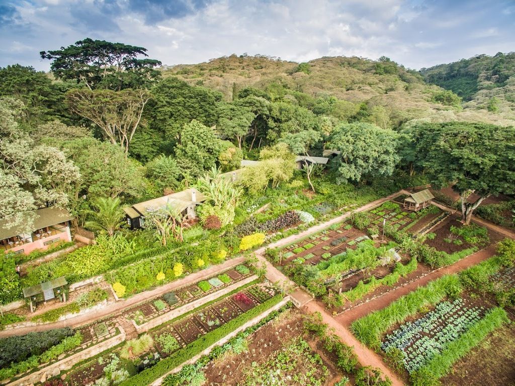 Gibb's Farm – Photo 6