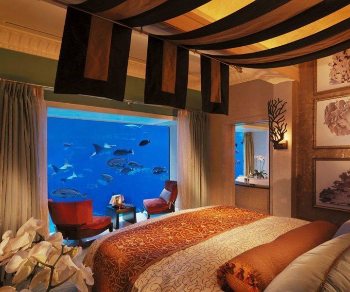 Atlantis - The Palm – Photo 2