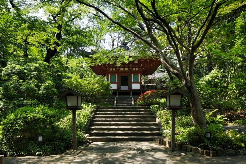 Takanawa Hanakohro – Photo 3
