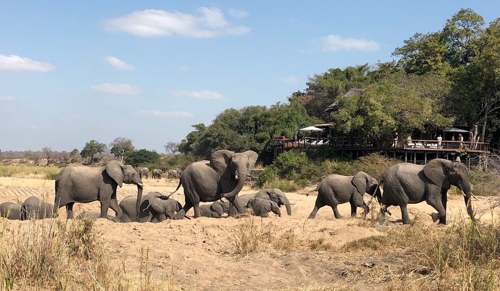 Jock Safari Lodge, Kruger National Park – Photo 6