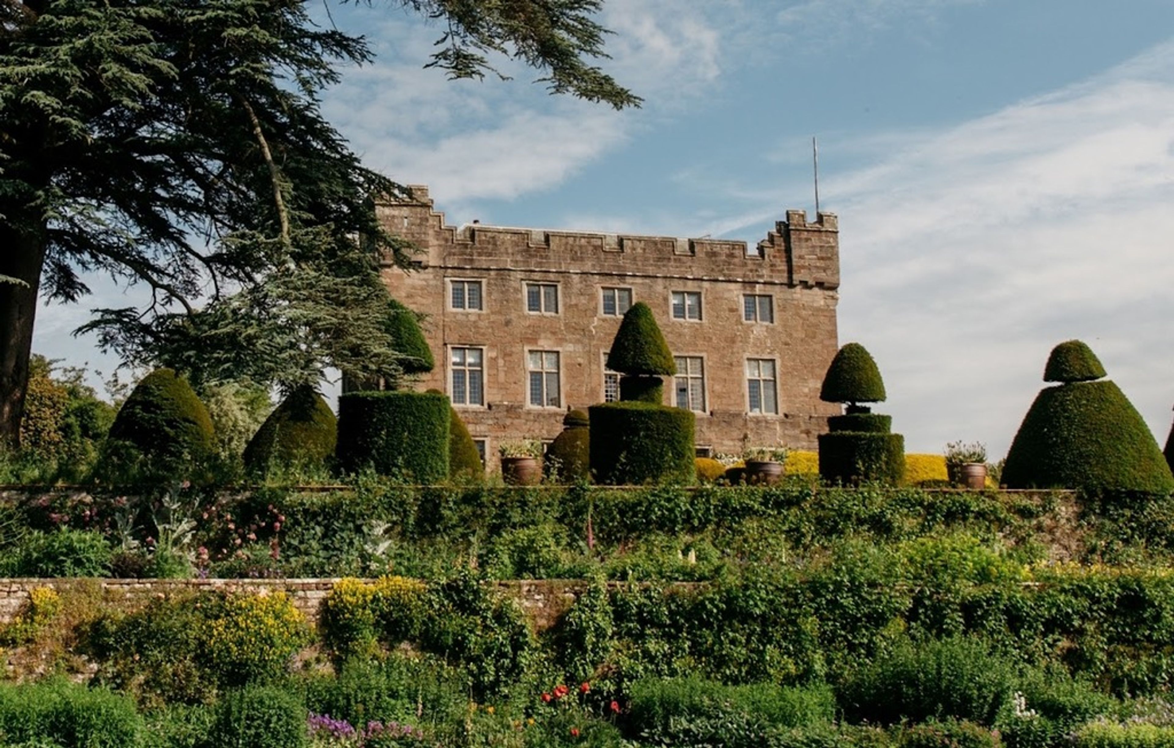 Allium - Askham Hall