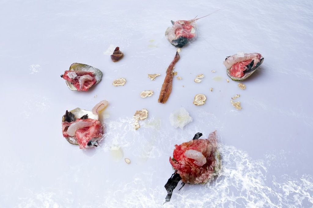 August – Photo 2