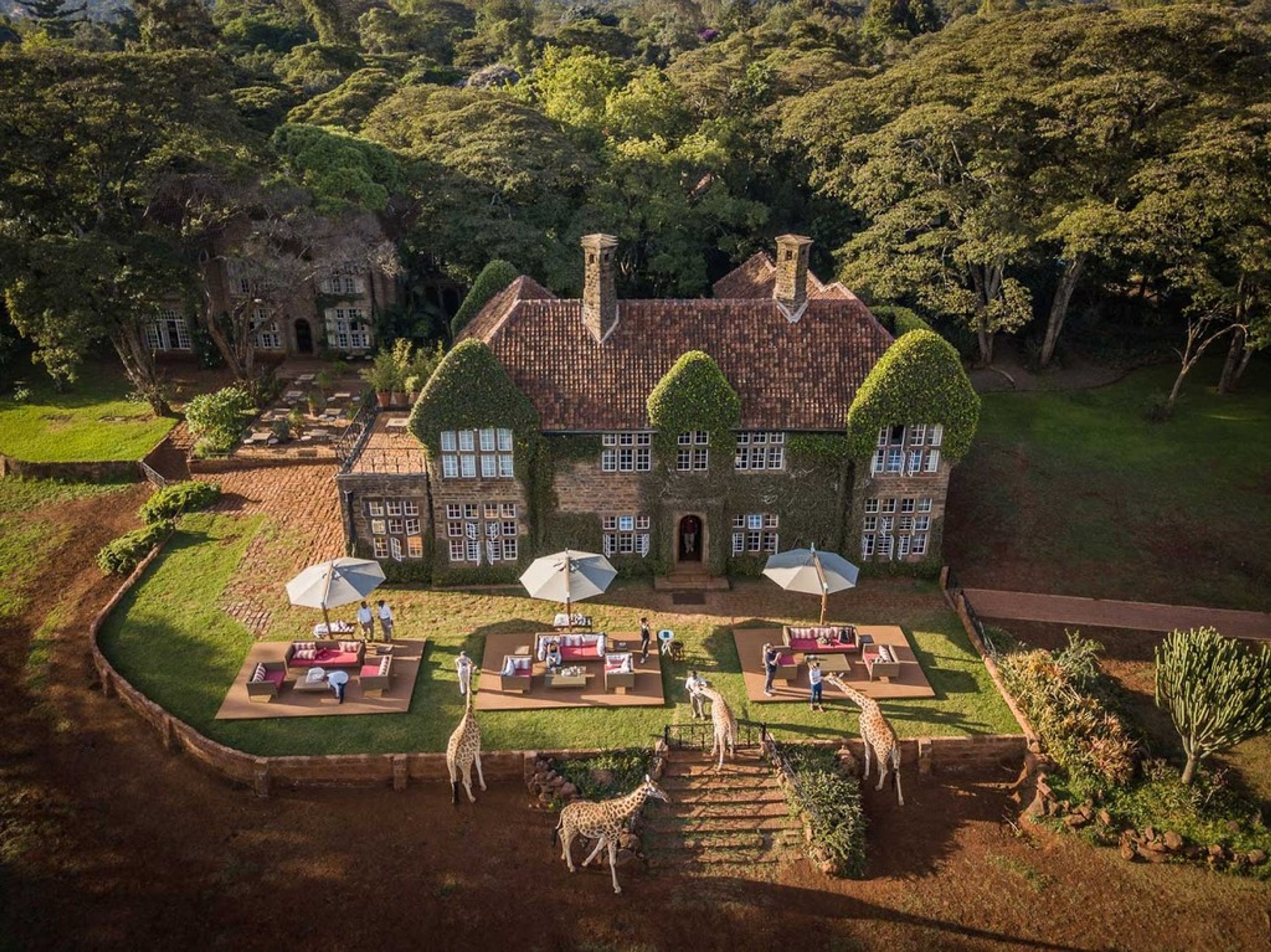 Giraffe Manor