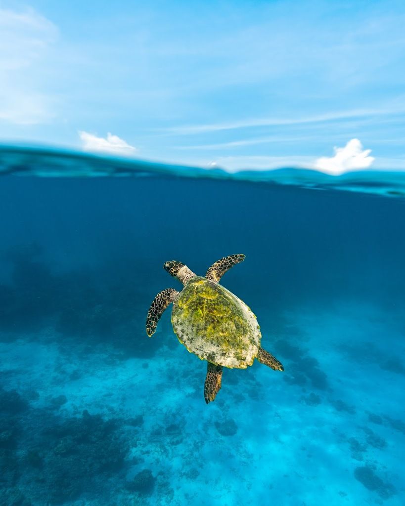 The Standard, Huruvalhi Maldives – Photo 6
