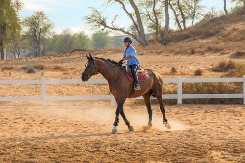 The Ritz-Carlton Ras Al Khaimah, Al Wadi Desert – Photo 4