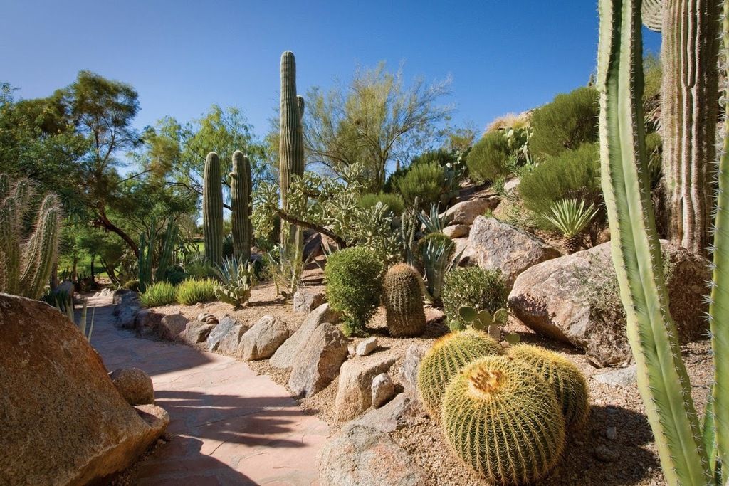 The Canyon Suites at The Phoenician, a Luxury Collection Resort, Scottsdale – Photo 5