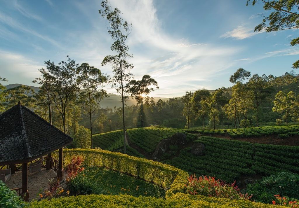 Ceylon Tea Trails - Norwood Bungalow – Photo 5