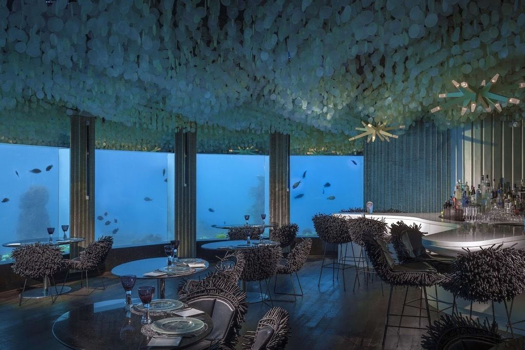 Niyama Private Islands Maldives – Photo 6