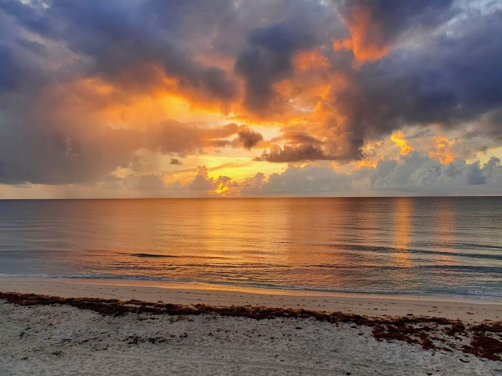 Eau Palm Beach Resort & Spa – Photo 5