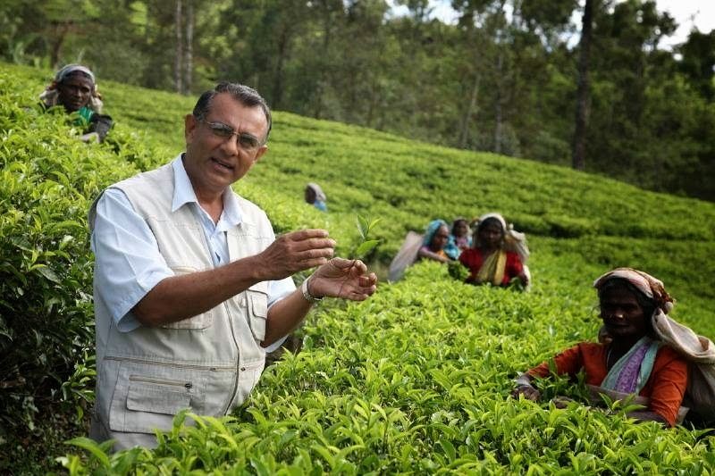 Ceylon Tea Trails - Norwood Bungalow – Photo 6