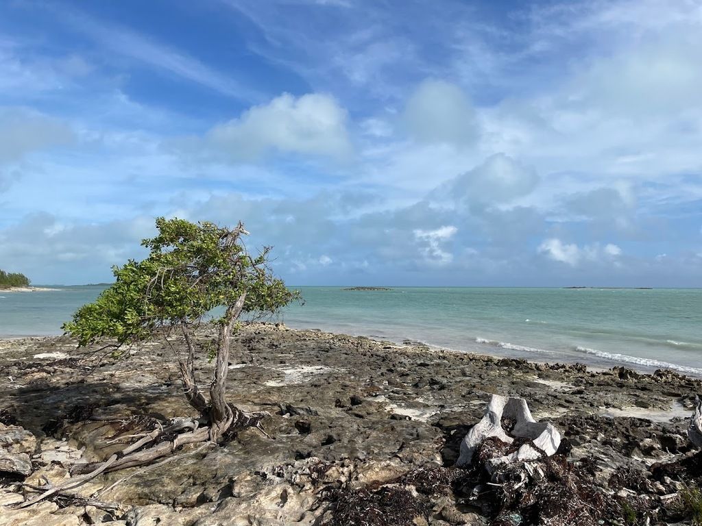 Kamalame Cay – Photo 4