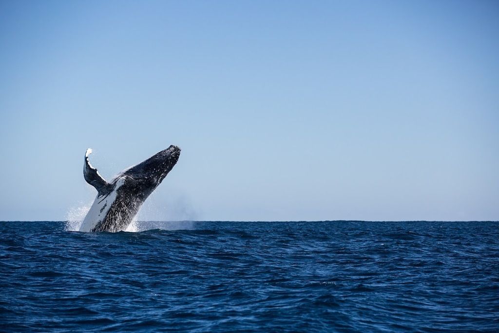Sal Salis Ningaloo Reef Safari Camp – Photo 4