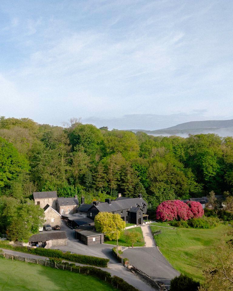 Ynyshir – Photo 4