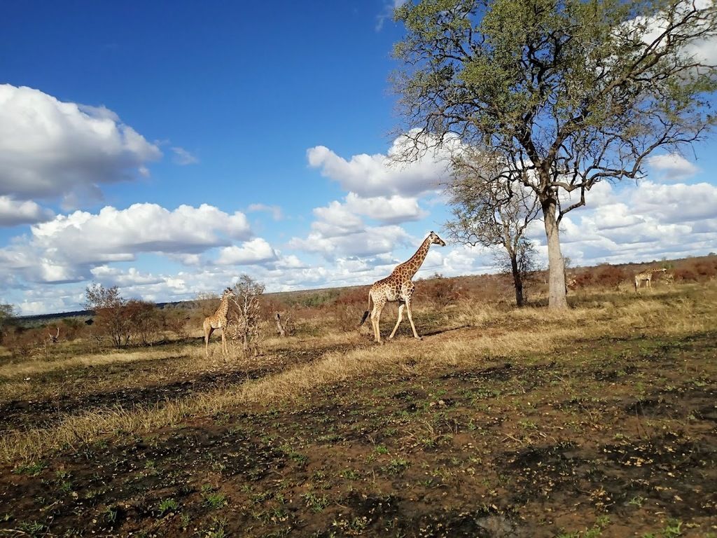 Singita Lebombo Lodge – Photo 5