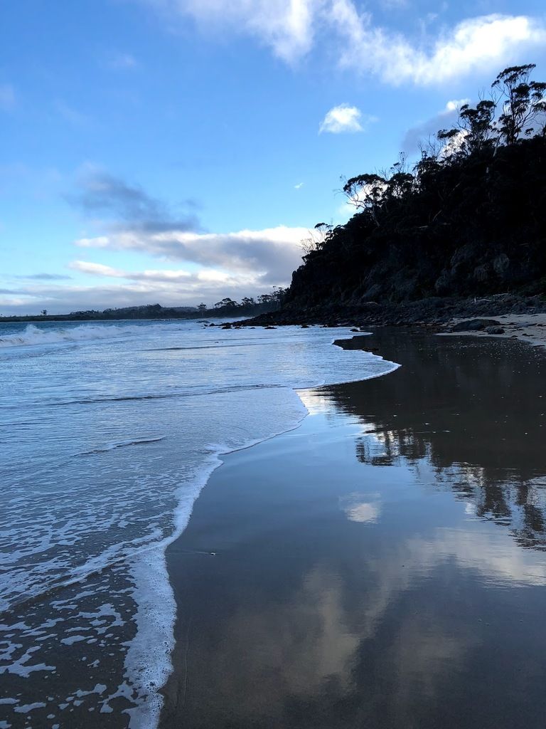Avalon Coastal Retreat – Photo 6