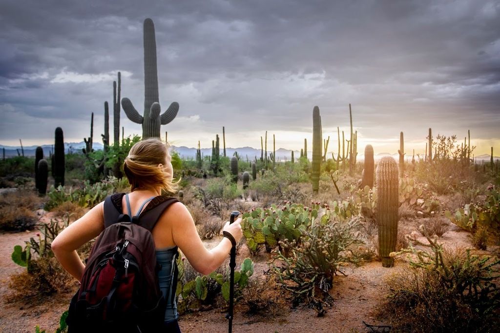 Canyon Ranch Tucson – Photo 3