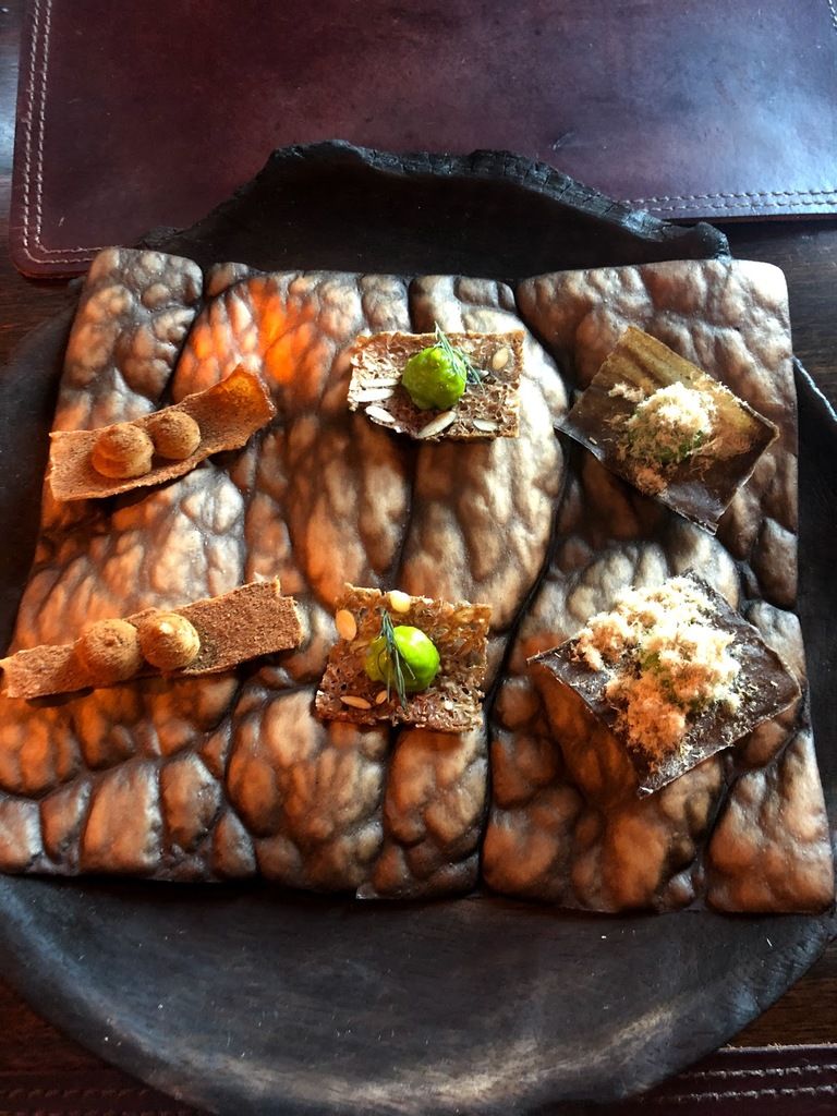 Dill – Photo 3