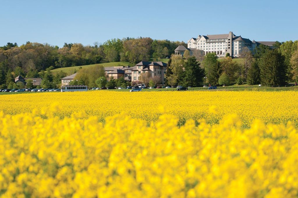 The Inn on Biltmore Estate – Photo 6