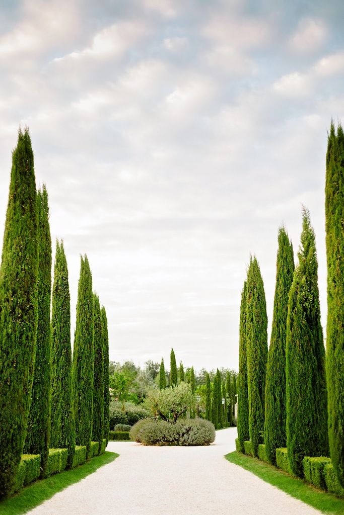 Borgo Santo Pietro – Photo 5