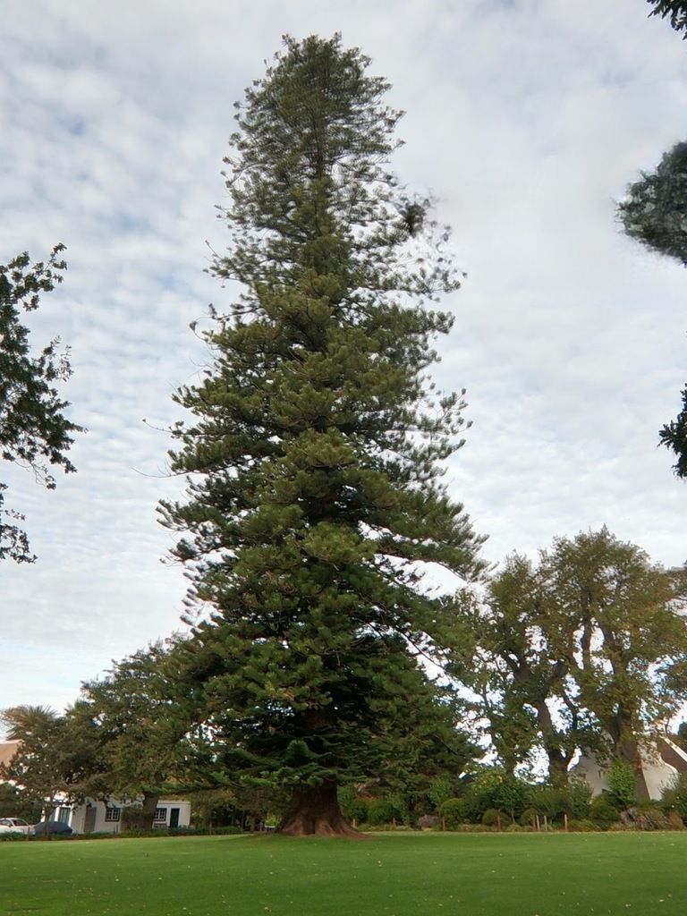 Beyond – Photo 3