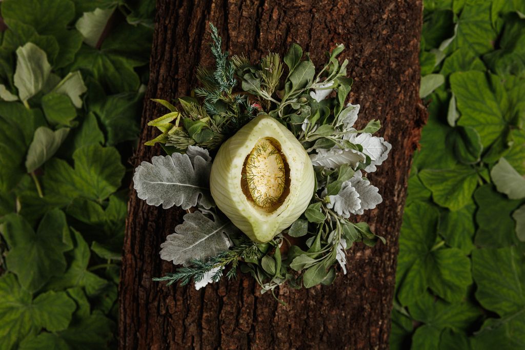 Botanic – Photo 4