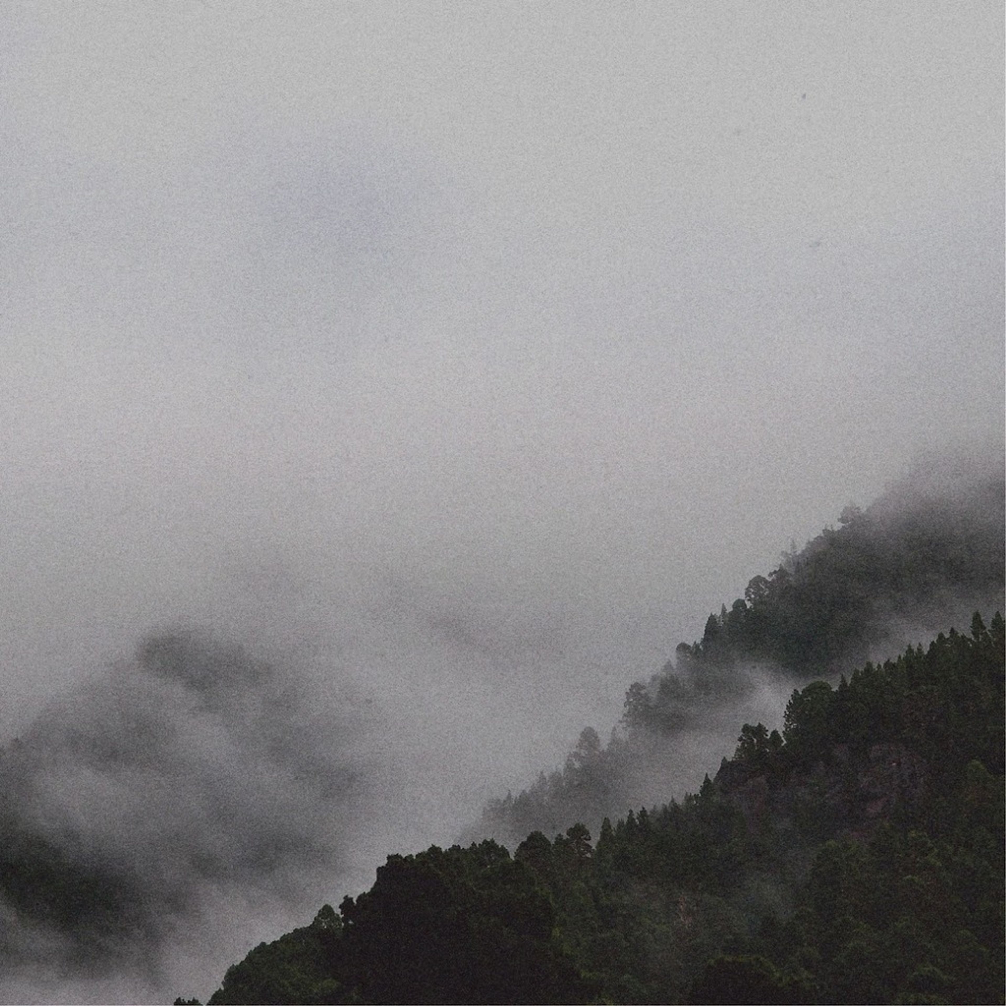 Liath – Photo 2
