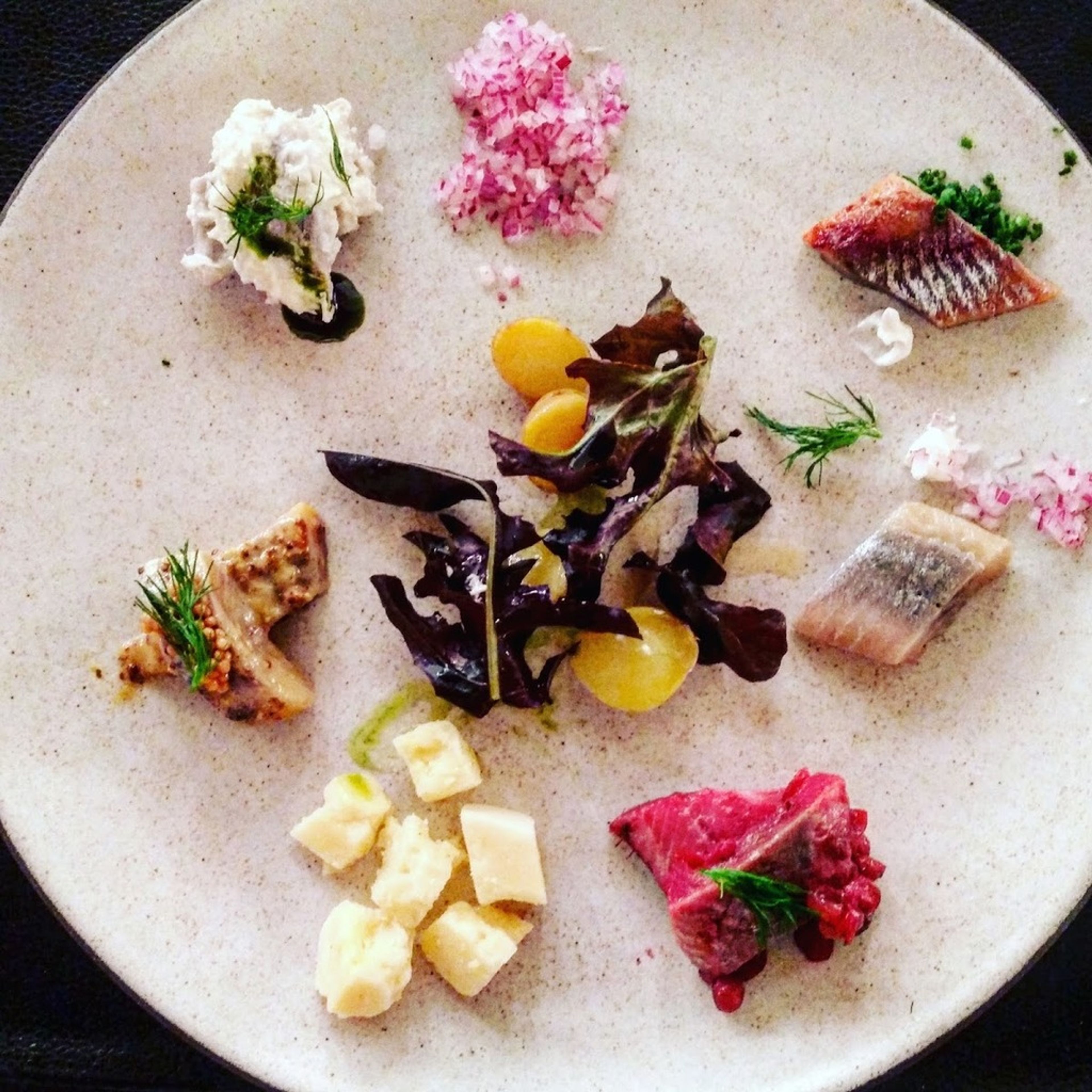 Aquavit – Photo 2