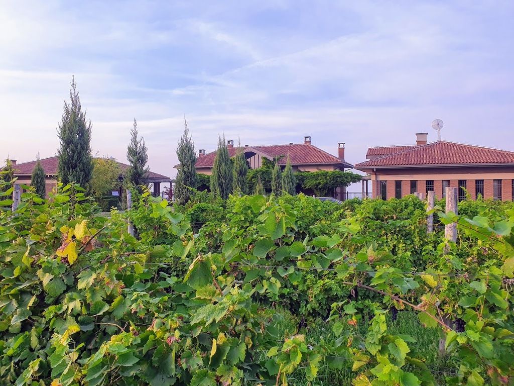 Fleur de Sel - Atelje vina Šapat – Photo 5