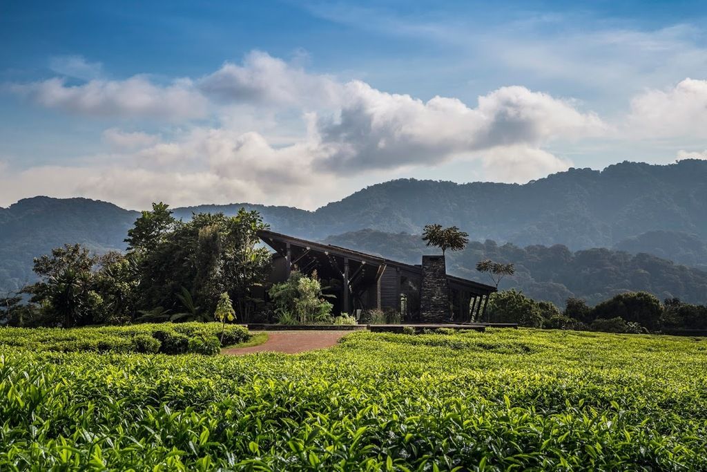 One&Only Nyungwe House – Photo 5