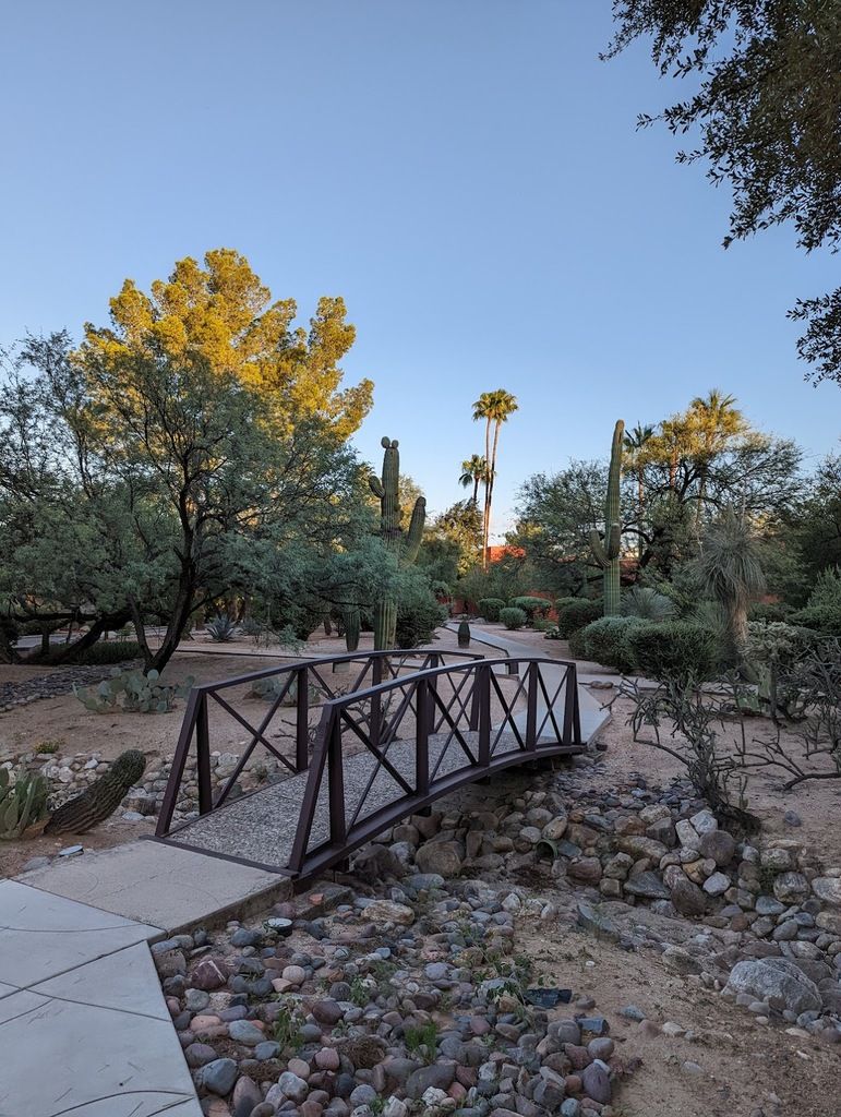 Canyon Ranch Tucson – Photo 2
