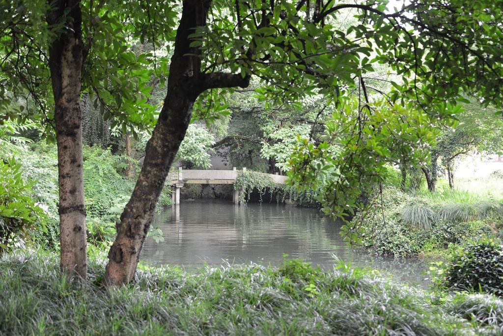 西子湖四季酒店金沙厅 - Jin Sha at Four Seasons Hotel Hangzhou – Photo 5