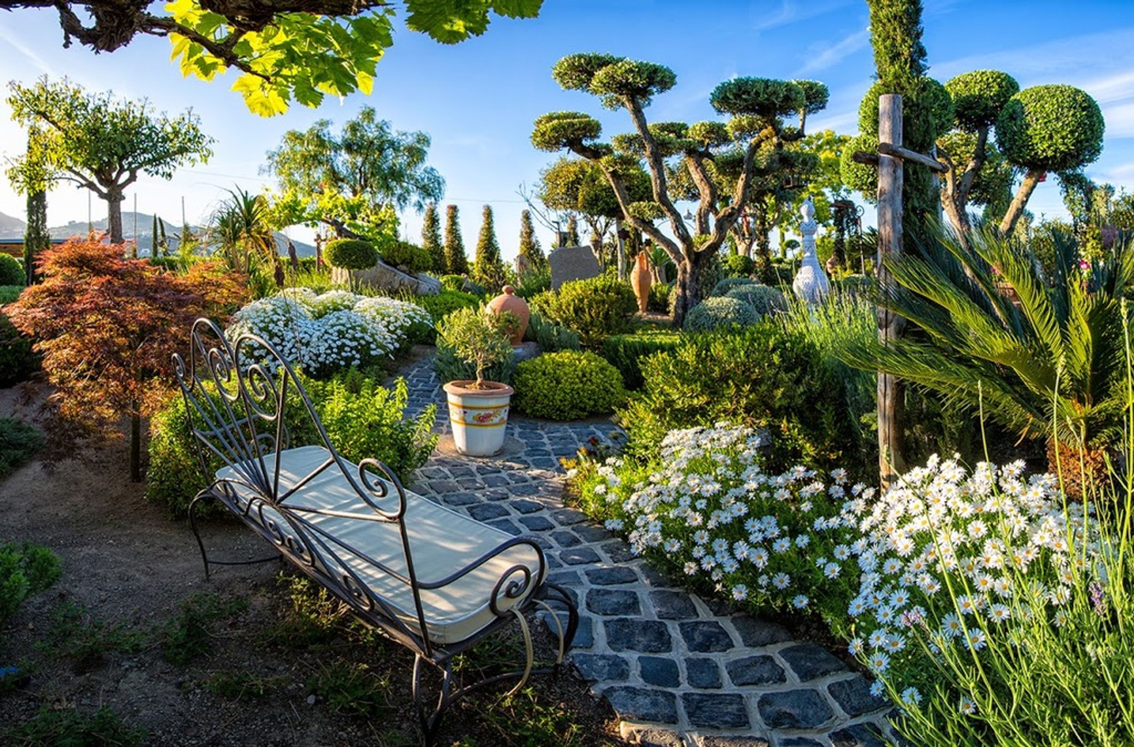 Danì Maison