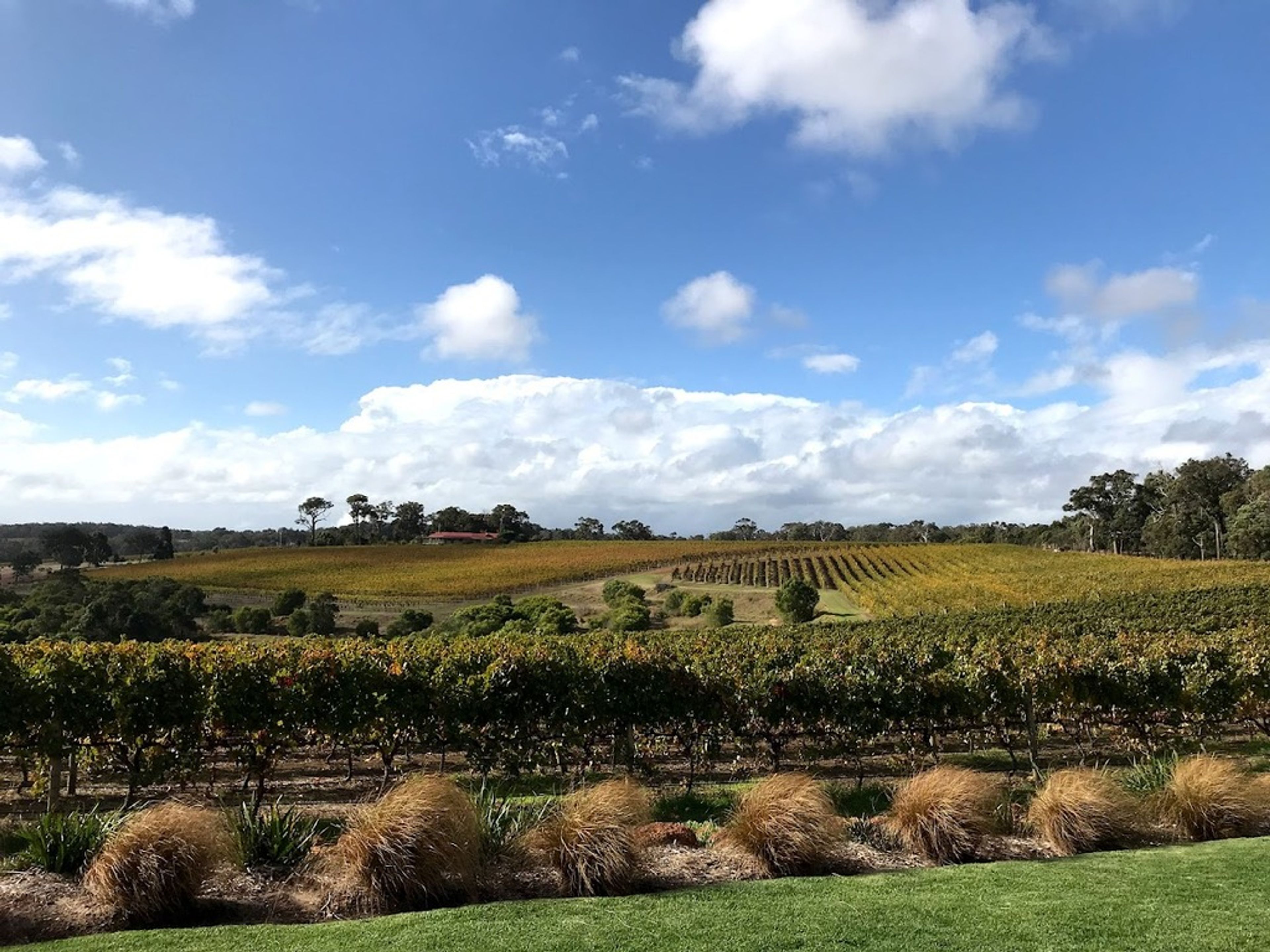 Wills Domain