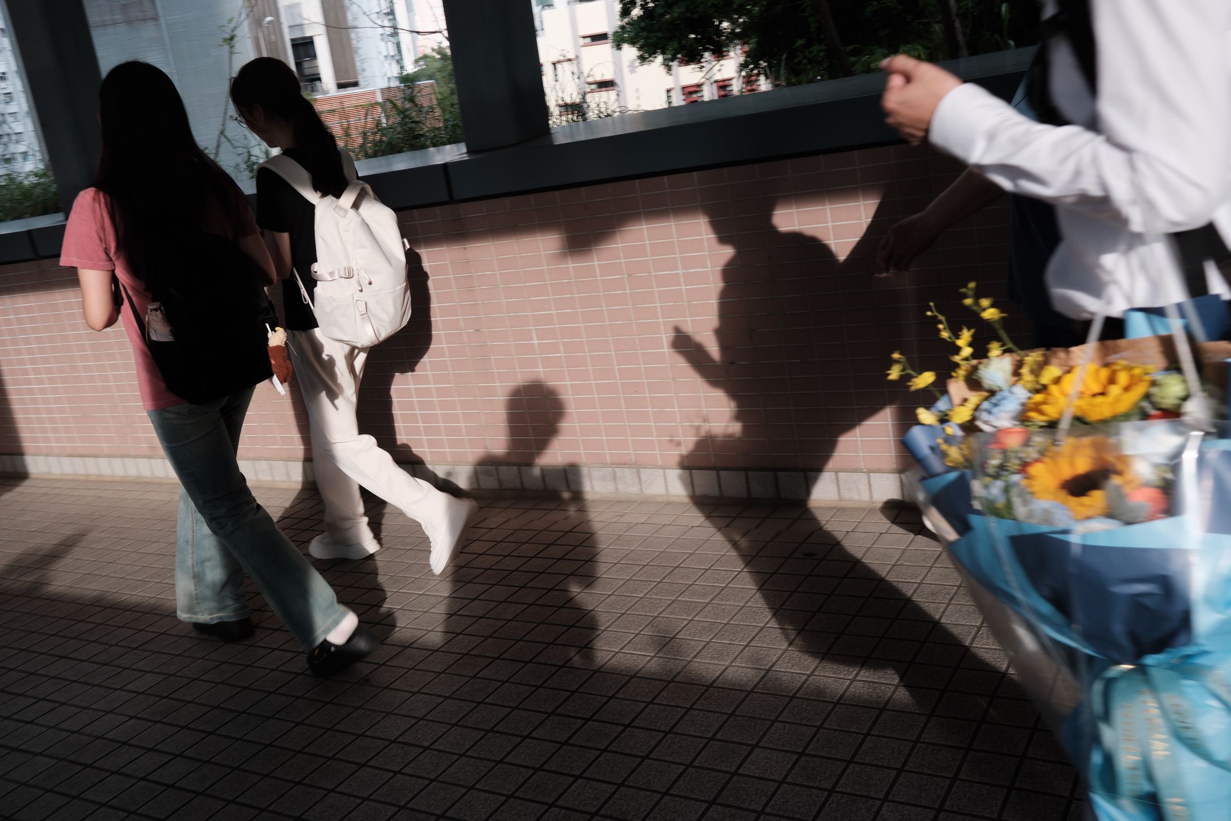 shadow and flowers